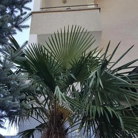D&s - Sans Souci Family 3* تشيرنوموريتس